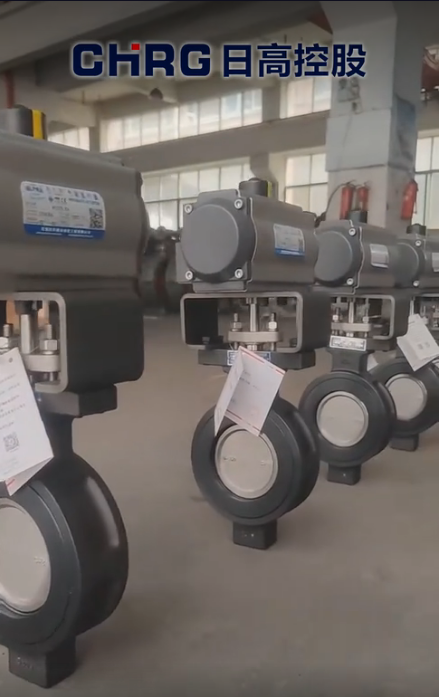 Pneumatic high-performance butterfly valve